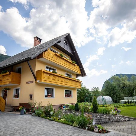 Apartmaji Matej Cvetek Бохин Екстериор снимка